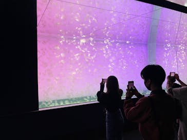 アクアワールド茨城県大洗水族館に投稿された画像（2021/5/22）