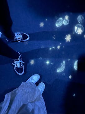 アクアワールド茨城県大洗水族館に投稿された画像（2021/5/22）