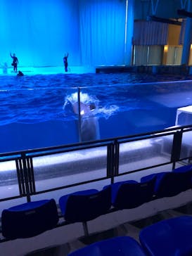 アクアワールド茨城県大洗水族館に投稿された画像（2021/5/22）
