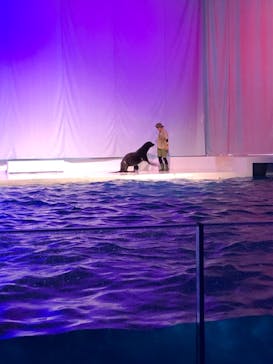 アクアワールド茨城県大洗水族館に投稿された画像（2021/5/22）