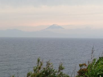 京急油壺マリンパークに投稿された画像（2021/5/23）