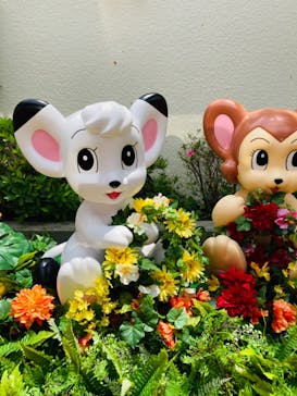 西武園ゆうえんちに投稿された画像（2021/5/23）