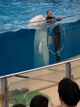 横浜・八景島シーパラダイスに投稿された画像（2021/5/23）