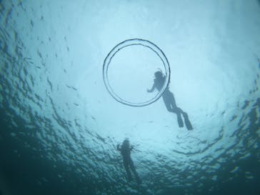 武藤潜水に投稿された画像（2021/5/23）