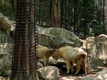 よこはま動物園ズーラシアに投稿された画像（2021/5/23）