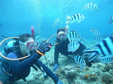 沖縄ダイビングショップシーモールに投稿された画像（2021/5/23）