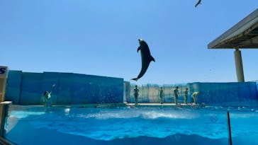 新江ノ島水族館に投稿された画像（2021/5/23）