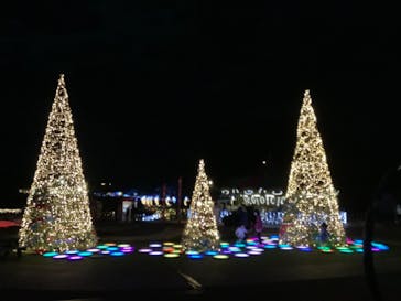 那須高原りんどう湖ファミリー牧場に投稿された画像（2021/5/23）