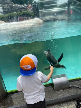 東武動物公園に投稿された画像（2021/5/23）