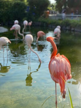 東武動物公園に投稿された画像（2021/5/23）
