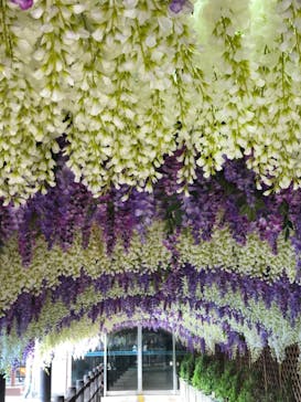 東京サマーランドに投稿された画像（2021/5/23）