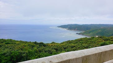 ミッドナイトツアー 奄美に投稿された画像（2021/5/23）