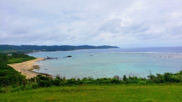 ミッドナイトツアー 奄美に投稿された画像（2021/5/23）