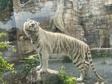東武動物公園に投稿された画像（2021/5/24）