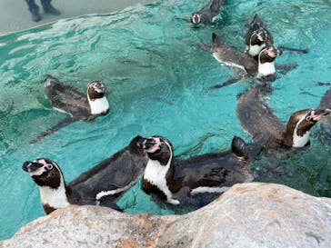 東武動物公園に投稿された画像（2021/5/24）