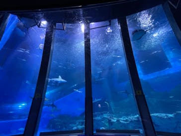 横浜・八景島シーパラダイスに投稿された画像（2021/5/24）