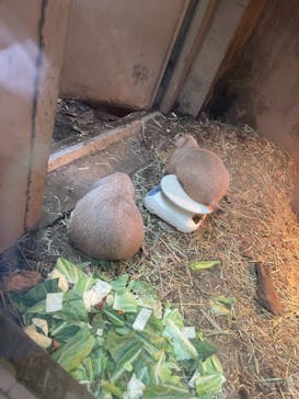 横浜・八景島シーパラダイスに投稿された画像（2021/5/24）