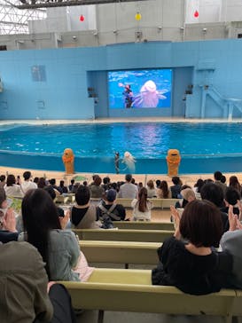 横浜・八景島シーパラダイスに投稿された画像（2021/5/24）