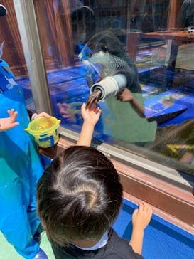 ゼロ距離水族館 伊勢シーパラダイスに投稿された画像（2021/5/24）