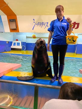 ゼロ距離水族館 伊勢シーパラダイスに投稿された画像（2021/5/24）