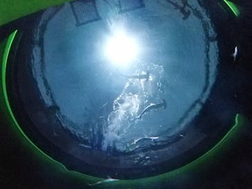 四国水族館に投稿された画像（2021/5/24）