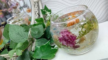 ずこうしつ〜sugamo〜に投稿された画像（2021/5/24）