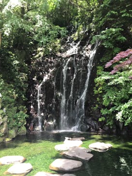 箱根湯本温泉 天成園に投稿された画像（2021/5/24）