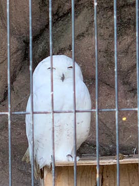 東武動物公園に投稿された画像（2021/5/24）