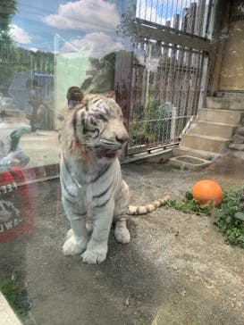 東武動物公園に投稿された画像（2021/5/24）