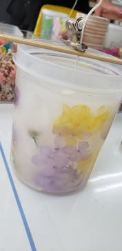 ずこうしつ〜sugamo〜に投稿された画像（2021/5/25）