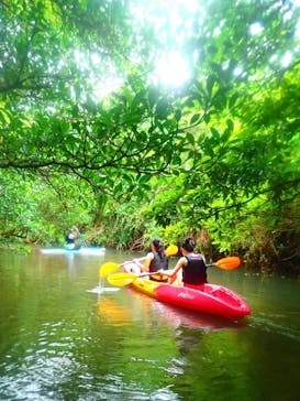 西表島 ADVENTURE PiPi（アドベンチャーピピ）に投稿された画像（2021/5/25）