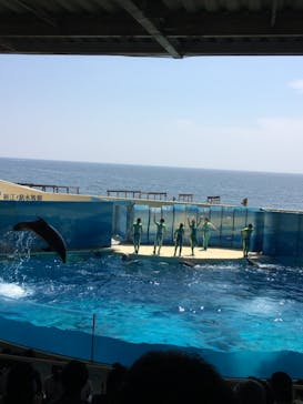 新江ノ島水族館に投稿された画像（2021/5/25）
