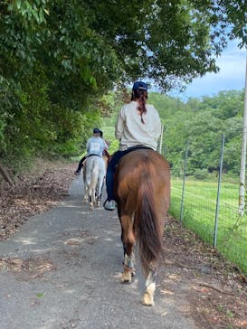 マリンズステーブルに投稿された画像（2021/5/25）