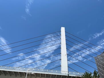 横浜・八景島シーパラダイスに投稿された画像（2021/5/25）