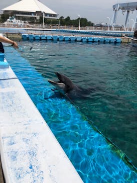 横浜・八景島シーパラダイスに投稿された画像（2021/5/25）