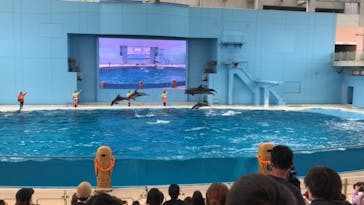 横浜・八景島シーパラダイスに投稿された画像（2021/5/25）