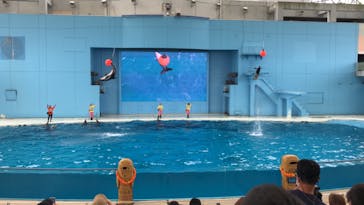 横浜・八景島シーパラダイスに投稿された画像（2021/5/25）