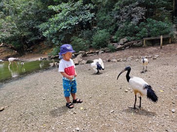 ネオパークオキナワに投稿された画像（2021/5/26）