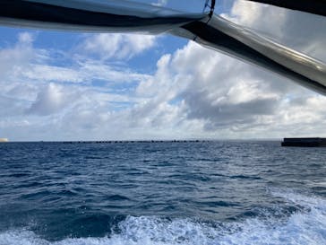 マリンクラブ ベリー 那覇店に投稿された画像（2021/5/26）