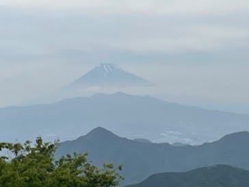 伊豆パノラマパークに投稿された画像（2021/5/26）