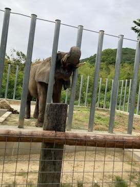 しろとり動物園に投稿された画像（2021/5/26）