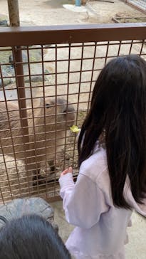 那須サファリパークに投稿された画像（2021/5/26）