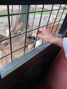 那須サファリパークに投稿された画像（2021/5/26）