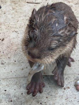 横浜・八景島シーパラダイスに投稿された画像（2021/5/26）