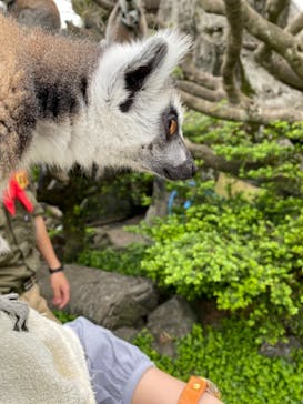伊豆シャボテン動物公園に投稿された画像（2021/5/26）