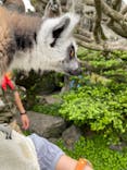 伊豆シャボテン動物公園に投稿された画像（2021/5/26）