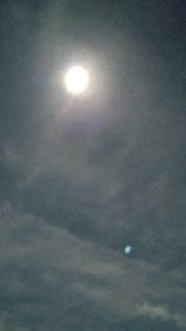 ミッドナイトツアー 奄美に投稿された画像（2021/5/26）