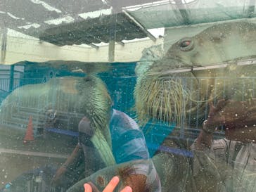 鳥羽水族館に投稿された画像（2021/5/27）