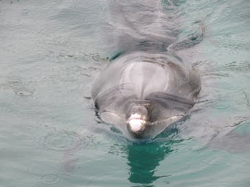 横浜・八景島シーパラダイスに投稿された画像（2021/5/28）