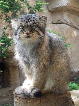 那須どうぶつ王国に投稿された画像（2021/5/28）